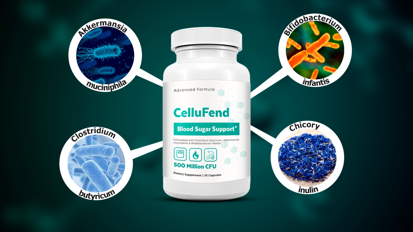 CelluFend Blood Sugar Support Supplement